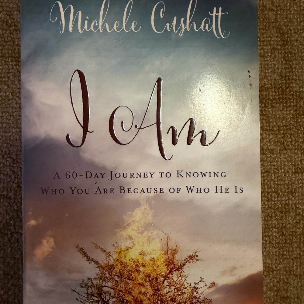 I Am: A 60-Day Journey to Knowing Wh... by Cushatt, Michele Paperback / softback